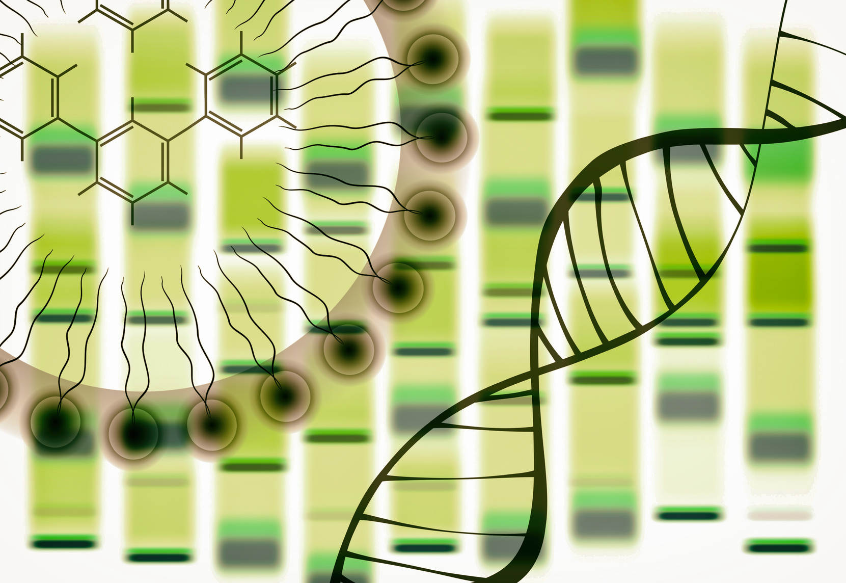 Quelles applications concrètes pour CRISPR ? © GiroScience, Fotolia